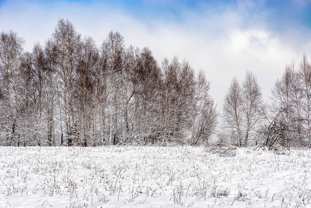 Красивый зимний пейзаж в снежном лесу, поездка на юг Польши в январе. - Фото, изображение