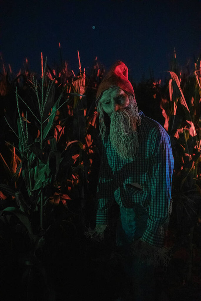 Walking dead zombie stoi na skraju pola kukurydzy w nocy z czerwonym kapeluszem na głowie. - Zdjęcie, obraz