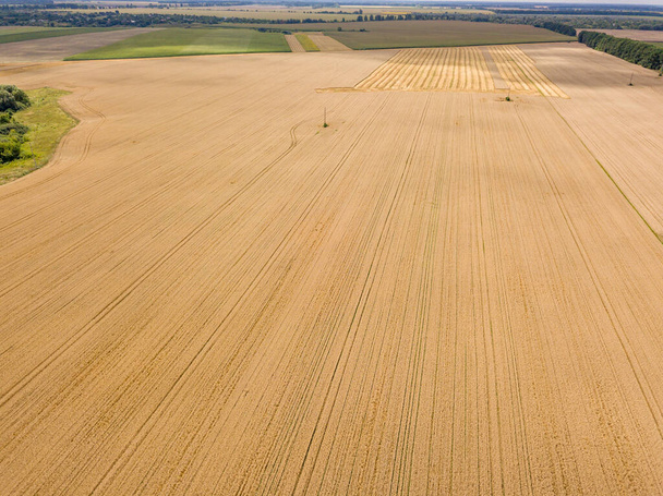 Ukrainisches Weizenfeld. Drohnenblick aus der Luft. - Foto, Bild