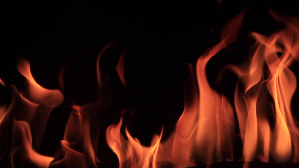 暖炉 - 映像、動画