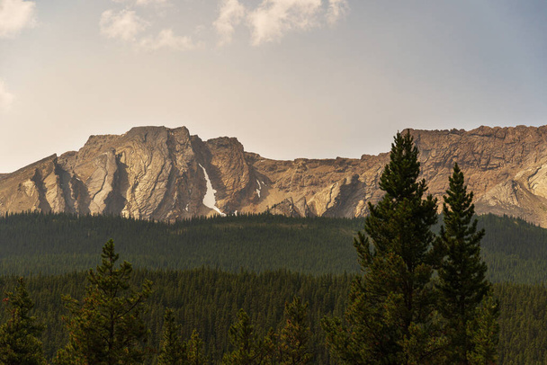 красивый ландшафт с пышной растительностью в горах, Джаспер национальный парк, Альберта, Канада - Фото, изображение