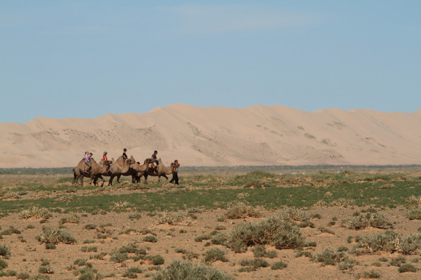 kameel caravan in de woestijn gobi - Foto, afbeelding