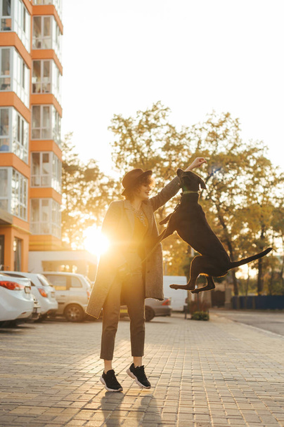 Happy lady en vêtements élégants entraîne un chien ludique sur un paysage d'automne de fond au coucher du soleil, chien saute dans les mains du propriétaire. Dame jouant avec un chien dans une rue de promenade, chien dans un saut. - Photo, image