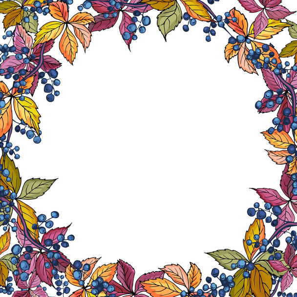 Autumn frame with wild grape and colorful leaves. Copy space. For your design, thanksgiving day, autumn sales, greeting cards. Vector stock illustration. - Vecteur, image