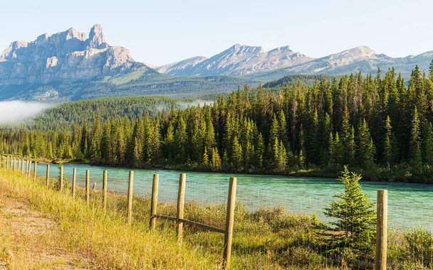 piękny krajobraz z górską rzeką w parku narodowym Jasper, Alberta, Kanada  - Zdjęcie, obraz