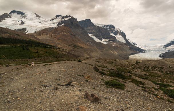 красивые природные пейзажи с athabaska падения, Альберта, Канада - Фото, изображение