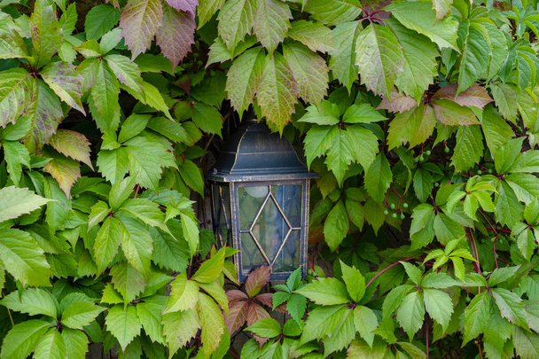linterna vintage disfrazada de hojas de árbol, arte de la naturaleza. - Foto, imagen