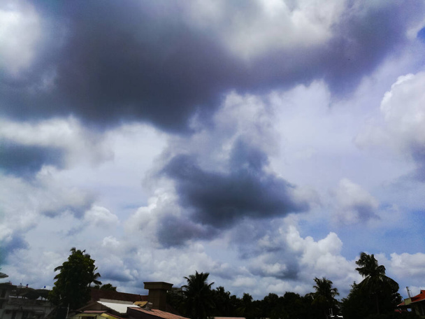 Nuvole piovose da una distanza lontana sulla cima degli alberi. Le nuvole sono scure e di colore blu scuro. Le nuvole sono abbastanza grandi e hanno forme diverse.. - Foto, immagini