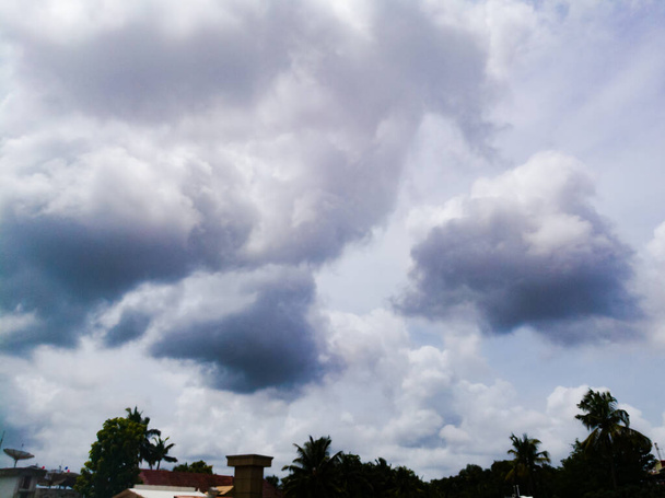 Nuvole piovose da una distanza lontana sulla cima degli alberi. Le nuvole sono scure e di colore blu scuro. Le nuvole sono abbastanza grandi e hanno forme diverse.. - Foto, immagini