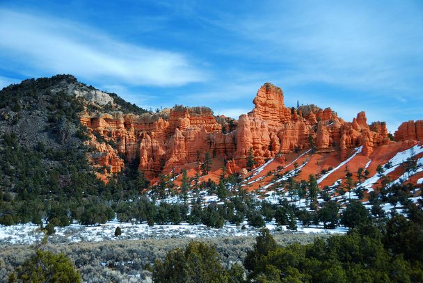 a bryce canyon nemzeti park vörös sziklák - Fotó, kép