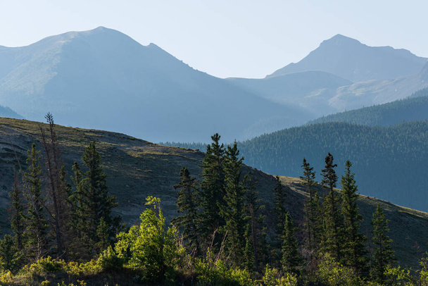 beautiful landscape with lush vegetation in mountains, jasper national park, alberta, canada - Photo, Image