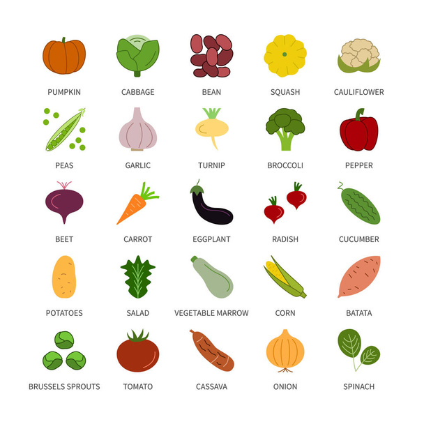 Gemüse-Logotyp natürliche organische Umrisse vegane lineare Unternehmensanalyse Farbvektorsatz. Gestaltungselemente Gemüse frische gesunde Lebensmittel Vektor Symbol gesetzt Linie Symbole Geld Handel Symbole gesetzt. - Vektor, Bild