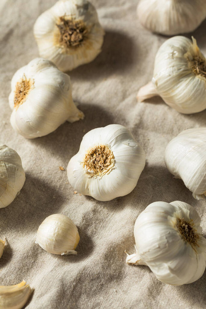 Raw White Organic Garlic Bulbs Ready to Cook With - 写真・画像