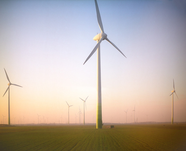 Wind energy. - Photo, Image
