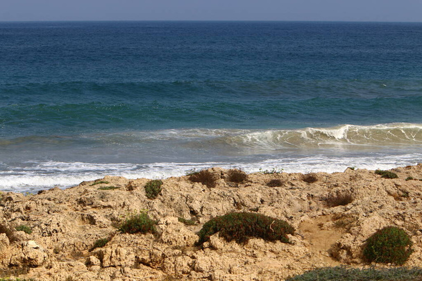 costa deserta do Mar Mediterrâneo no norte do Estado de Israel
  - Foto, Imagem