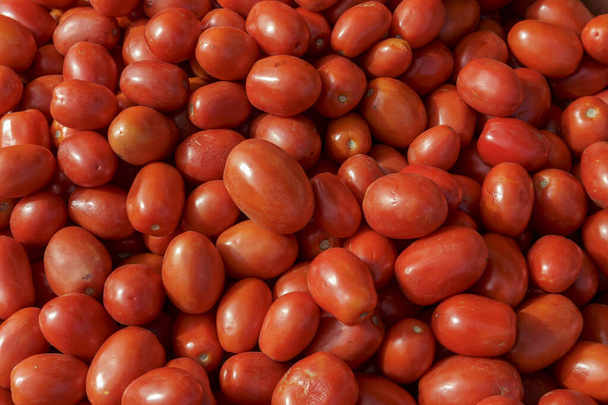 ビーガンフード。新鮮なトマト、隔離された背景 - 写真・画像