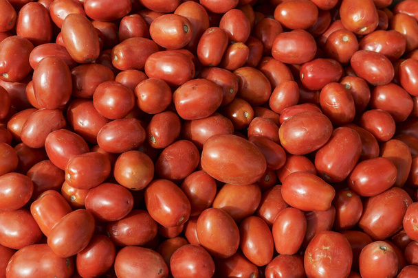 Χορτοφαγικά. Φρέσκια ντομάτα, απομονωμένο φόντο - Φωτογραφία, εικόνα