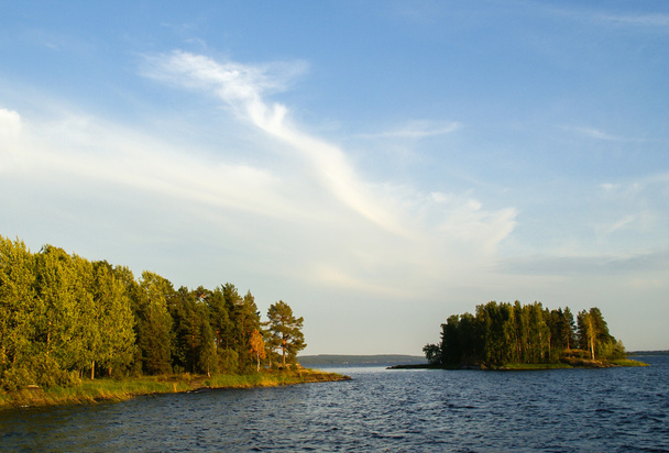 wilde sommerliche Seenlandschaft - Foto, Bild