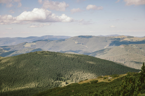 A field with a mountain in the background - Zdjęcie, obraz