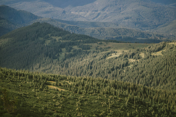 Un champ avec une montagne en arrière-plan - Photo, image