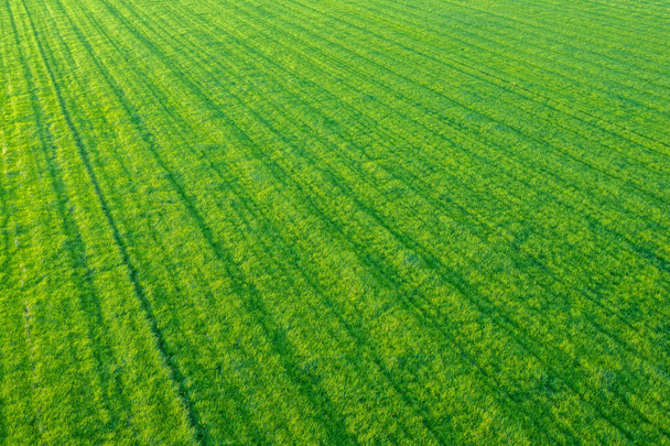 Aerial Abstract Background Of Diagonal Row Lines In An Agricultural Field - Photo, Image