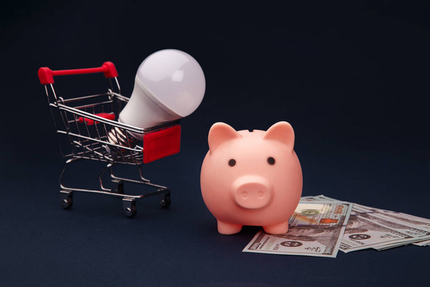 Pink piggy bank, trolley, money and light bulb, power savings concept - Photo, Image
