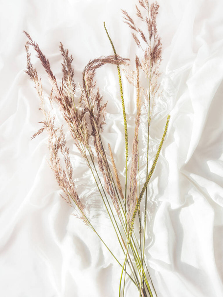 Top view on dried grass. Flat lay still life concept. Decorative autumn plants on crumpled white fabric. Cozy home. Hand made natural decorations. Sunlight and shadow. - Foto, Bild