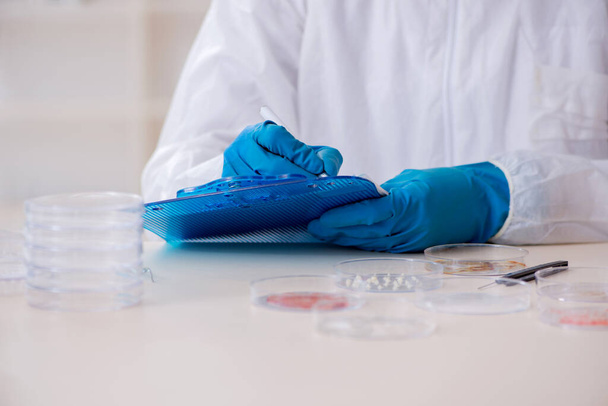 Young male chemist working in the lab - Фото, зображення