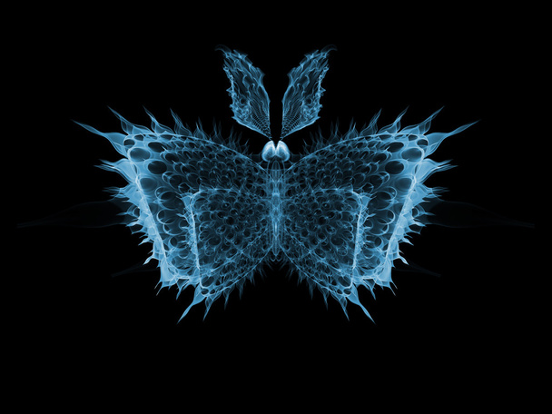 Butterfly Design - Zdjęcie, obraz