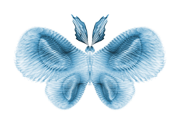 Butterfly Elegance - Foto, imagen