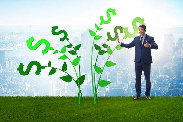 Koncepcja drzewa pieniędzy z biznesmenem w rosnących zysków - Zdjęcie, obraz