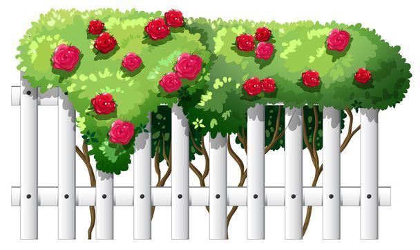 A fence with rose plants - Vector, Image