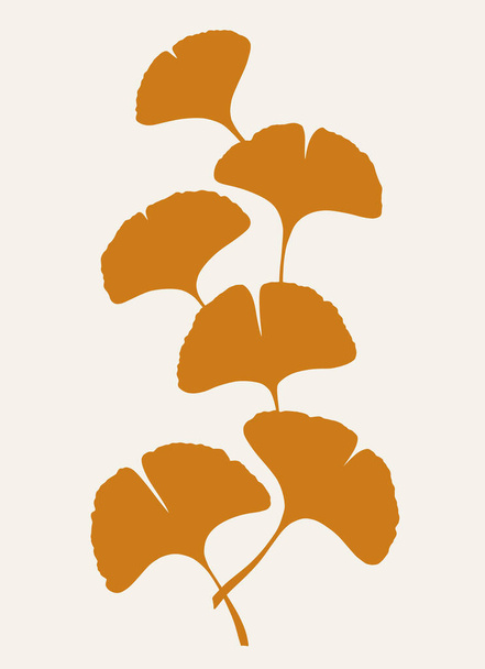 Autumn Ginkgo or Gingko Biloba branch with leaves. Nature botanical vector illustration, herbal medicine graphic isolated over white. - Vetor, Imagem