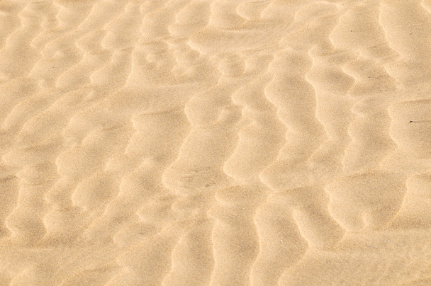 Sand Dune Desert Texture - Photo, Image