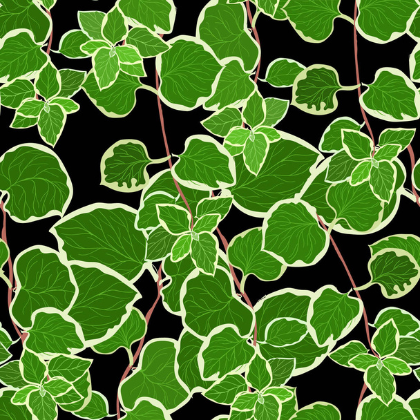 Planta trepadora hojas verdes, follaje de pared de hiedra, sobre fondo negro ilustración vectorial sin costuras - Vector, imagen