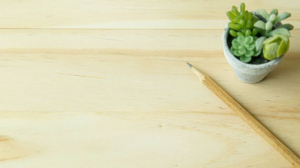 The small tree and white plant on wood table for background content - 写真・画像