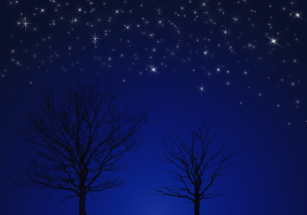 Деревья под звездами
 - Фото, изображение