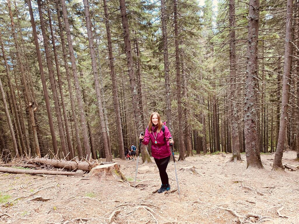 Het meisje met stokken op het bos. Klim in de bergen. Campagne in de bergen. - Foto, afbeelding