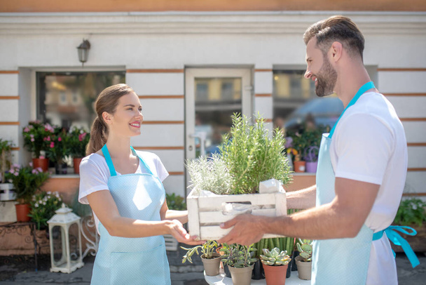 Bearded male and brown-haired female holding box with plants outside flower shop - Fotoğraf, Görsel