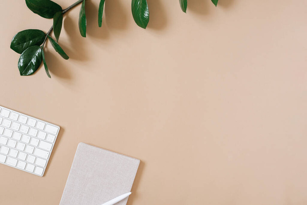 A modern, minimalistic desktop for a freelancer or blogger. Office supplies with a green branch. Copying space. Minimal flat lay - Photo, image
