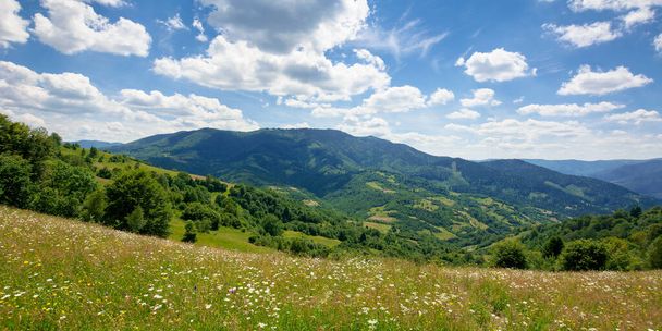pasture on a sunny day in mountains. wonderful countryside landscape of carpathians. fluffy clouds on the sky - Фото, изображение