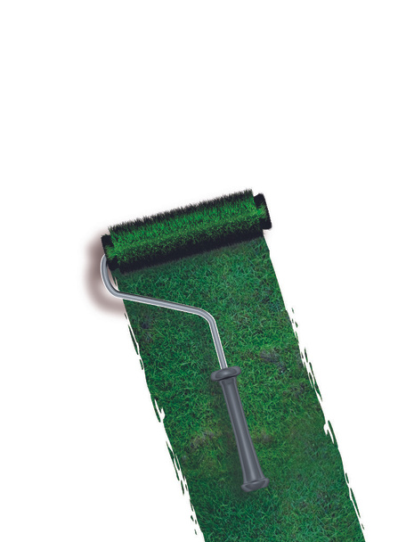 Трава Rollerbrush ізольовані - Фото, зображення