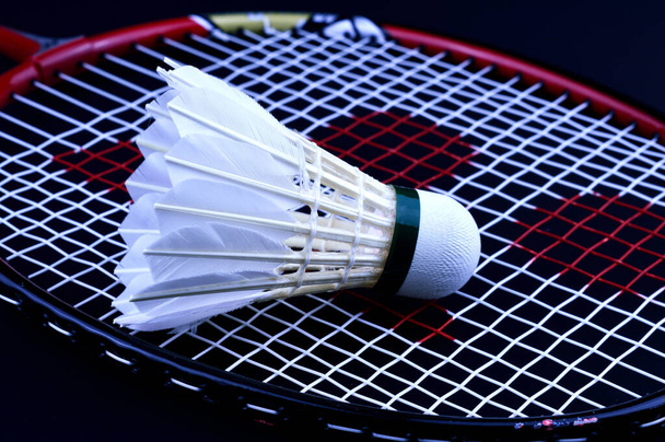 one white badminton shuttlecock on a racket - Foto, imagen