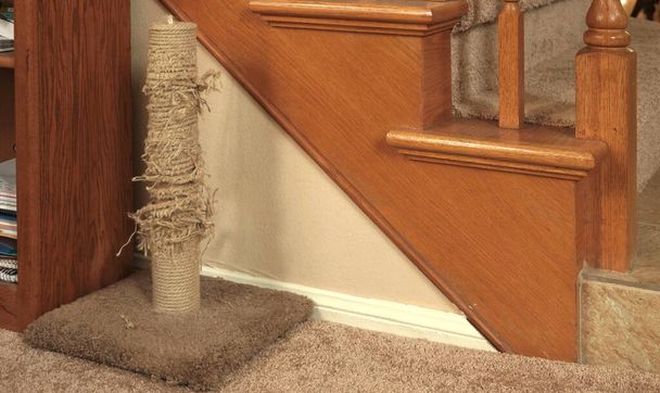 Un primer plano de un gato bien utilizado y rallado rasguñando poste - Foto, Imagen