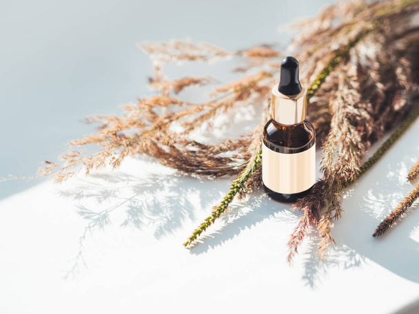 Concept of apothecary cosmetic. Herbs and brown glass bottle of essential oil in still life composition on light blue and white background. Sunlight and shadow. Natural cosmetic remedy with white tag. - Φωτογραφία, εικόνα