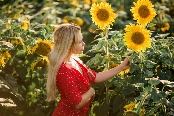 beautiful young female in a red dress in a field with sunflowers - Fotoğraf, Görsel