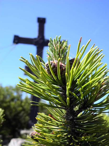 branche de conifère avec cône de pin, croix du sommet floue à l'arrière, ciel bleu - Photo, image