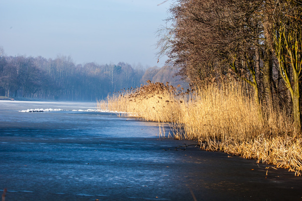 Traditional polish landscape in winter, frozen lake. - Photo, Image