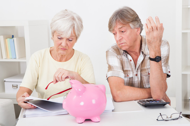 Senior Couple Calculating Finance - Photo, image