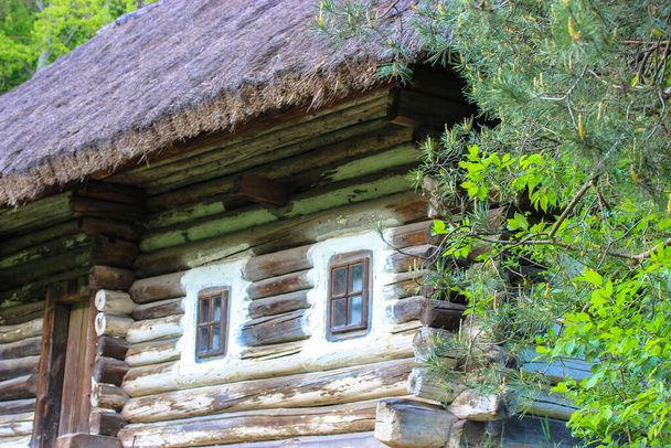 Uma casa de madeira na floresta. Uma velha cabana em ruínas com um velho telhado de palha. Lugar acolhedor para relaxar no seio da natureza no verão. Cárpatos ucranianos
. - Foto, Imagem